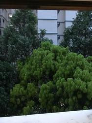 Blk 787B Woodlands Crescent (Woodlands), HDB 4 Rooms #141505512